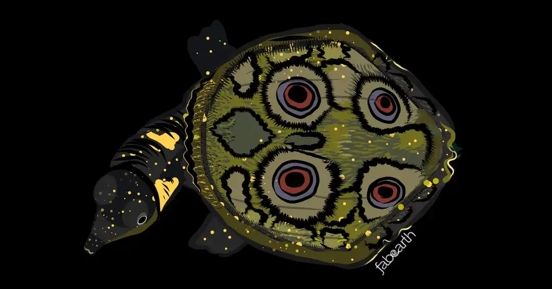 Black Softshell Turtle (Nilssonia nigricans) — original artwork by Urvi Khanna