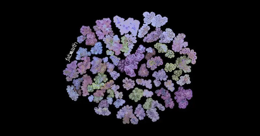 Cauliflower Coral (Pocillopora damicornis) — original artwork by Urvi Khanna