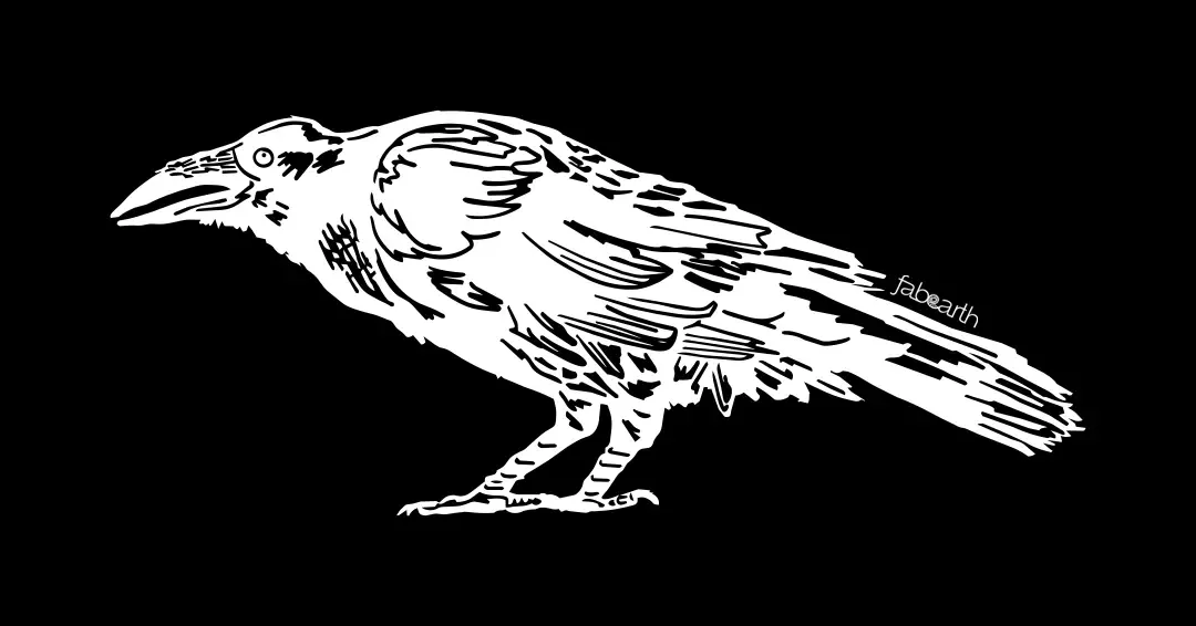 Hawaiian Crow (Corvus hawaiiensis) — original artwork by Urvi Khanna