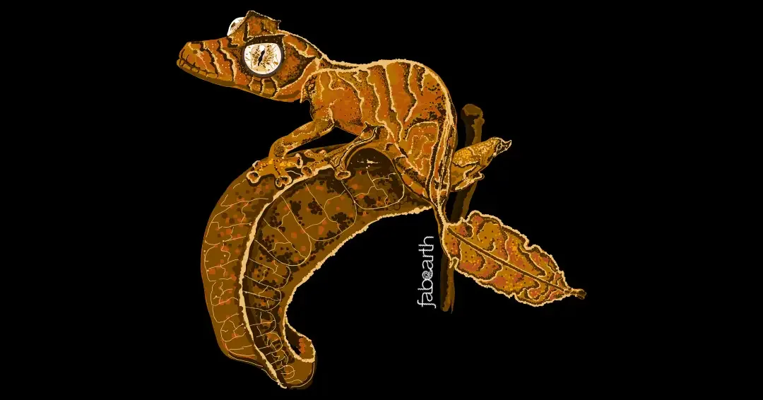 Satanic Leaf-tailed Gecko (Uroplatus phantasticus) — original artwork by Urvi Khanna