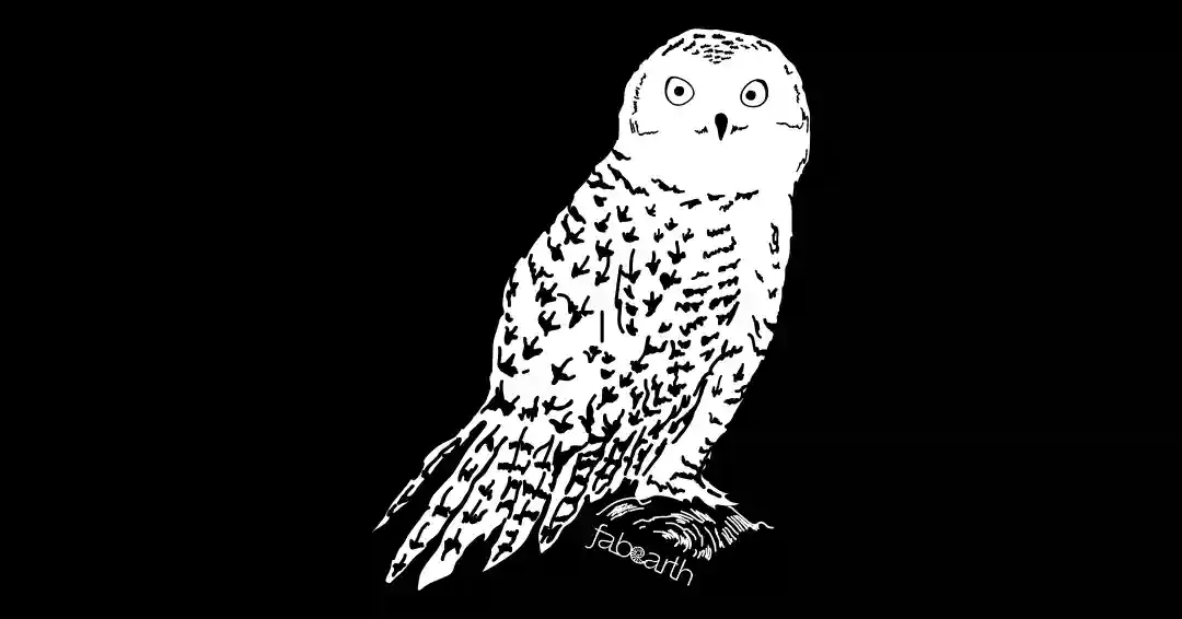 Snowy Owl (Bubo scandiacus) — original artwork by Urvi Khanna