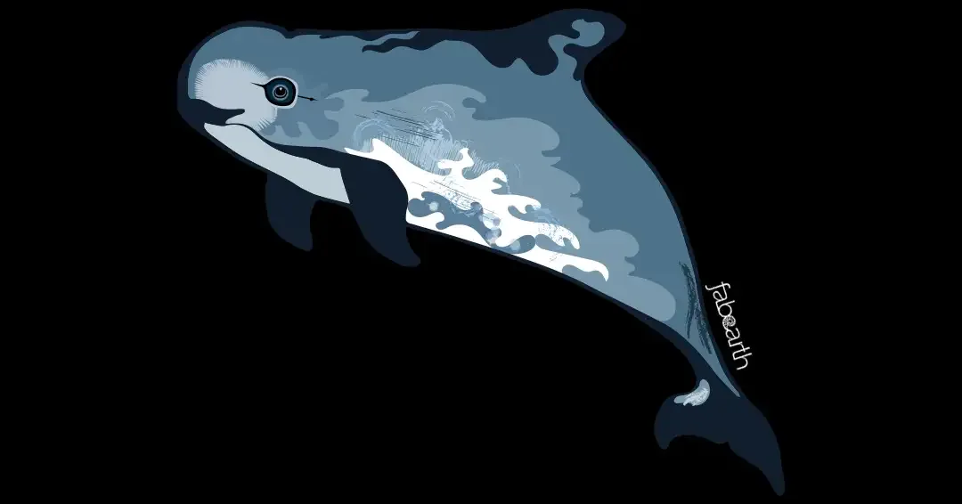 Vaquita (Phocoena sinus) — original artwork by Urvi Khanna